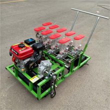 Ӧ˰ײСֻʽ۲˲ֻС͸