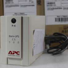 ϺAPC UPSܴ ȨBK500Y-CH 500VA/300W Back