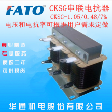 人ֱFATOͨCKSG-1.05/0.48/7%ѹ翹
