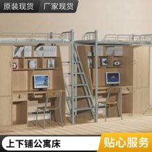 ���������ܸߵ�˫��ѧ��Ա���������幫Ԣ���չ��ع��˴�