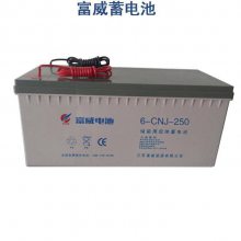 6-CNJ-120ֱӦ 12V120AHýԴӪ