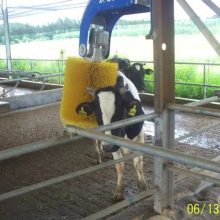 牛体刷电机带控制器 牛用蹭痒按摩刷 牛场感应式牛刷智慧牧场优选