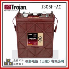 ԭװTrojanL16E-AC綯۹⳵ ɨػ6V-370AHǦ