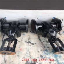 ֱ Z45T-10Q Z45T-16Q īբ DN200 綯ͭоբ