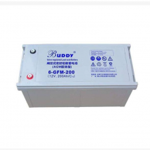 BUDDY6-CNJ-2012V20AHܴ۸