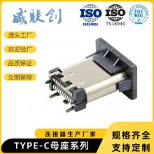 Ӧʽ3.1USB DIPTYPE-Cĸ