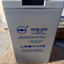 YOULI有利蓄电池GFM-500 2V500AH 医疗器械 精密仪器 储能系统用