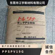 PPS ձ PV19G עܼ ȶ  ߵ¼