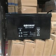 TECHNOLOGIES大力神蓄电池CD2-500LBT使用说明及检测报告