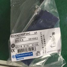 ߵӿiPRU 20 4P:A9L020400˦AC350V