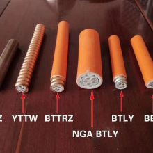 ʷ BTTZ BTTRZ BBTRZ NG-BTLY  ֱ
