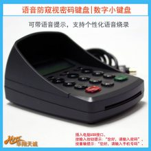 收银系统外接小键盘 水果连锁店会员积分数字输入器HX541DA-N