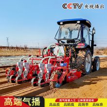 大顺新款悬挂式气吸两垄四行萝卜白菜播种机
