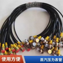 压力表线 高压测压软管 耐酸碱尼龙管 尼龙测压管 定制