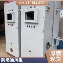 防爆正压柜 正压变频器柜 通风散热配电柜 不锈钢碳钢IICT4配电箱