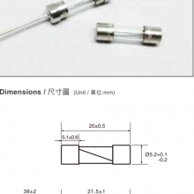 Walter²ܱ˿TSD+P/TSD(P)/TSD1.6A 6.3A250V+P