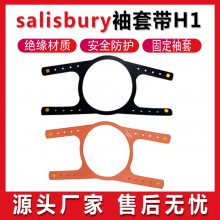 salisbury״H1ҵԵ״Ź̶״ԵŴ