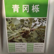 优质新采摘林木种子 青冈栎种子 发芽*** 价格便宜 ***