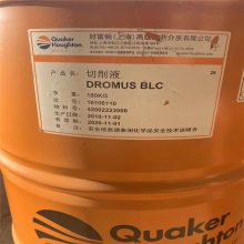 øDromus BLCˮԽӹҺ øٽ