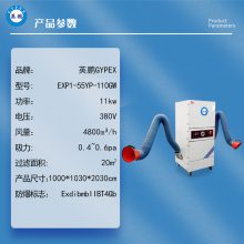 Ӣ GYPEX  ·  EXB1-55YP-110GW