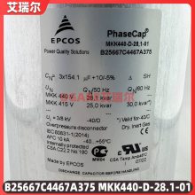 EPCOS B43733A2229M000 200V22000uF 15000Сʱ