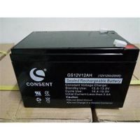 光盛蓄电池GS12V50AH铅酸蓄电池12M50LC/20Hr价格型号\产地是哪里
