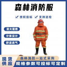 ͸ɭʽվԮѵӦȼ˻