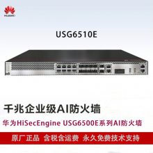 ΪHiSecEngine USG6510EϵAIǽ(ʽ)