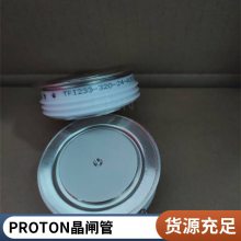 T193-2000-50 PROTONƽɿع辧բ