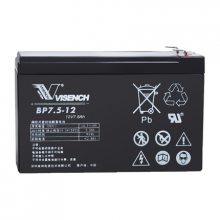 VISIONCP12100 12V10AHǦUPS