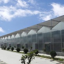 江苏阳光板温室一站式规划施工 新型科技农业大棚