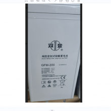˫ ܷʽǦά GFM-200C10