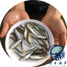 糧 Դ ȫ쳵 ֳ