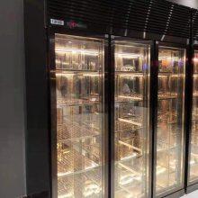 三盾冷链松下冷柜冷冻展示柜立式牛排柜