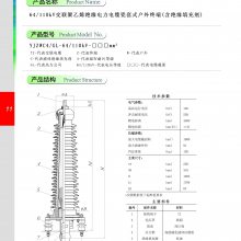 ն AC110kv ʽ