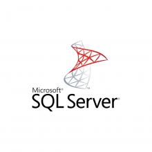 SQL Server 2019׼ 5ûǶʽ