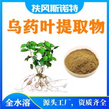 乌药叶提取物物 20:1 乌药叶粉 乌药浸膏 