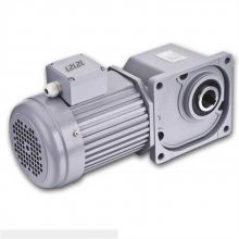 ּٵSEND SZG22F-60-0.2KW-R-F-J ˫ֱǵ