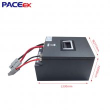 24V60AH AGVС泵﮵綯ƽ峵﮵packƳ