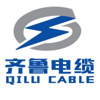 齐鲁电缆 450V/750V BV BVV RV RVV 铜芯家用照明电源线