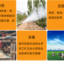 英达爆款热卖-汽油双管脉冲割草机 打草机现货发行