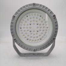 led ExdIICT6 50w˵ ҷ