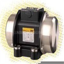 ¹NETTER VIBRATIONת