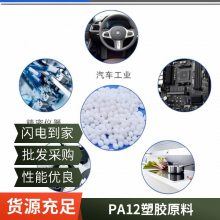 PA12 Ӯ¹ E62S1ĥ ͺ ѧʴ ߿ ߵ