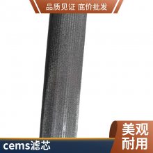 除湿过滤器滤芯 内有支撑层 加气站用 CEMS 通用过滤器