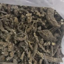 竹节参药用有什么价值 竹节三七哪里可以购买多少钱一公斤-产地***格网