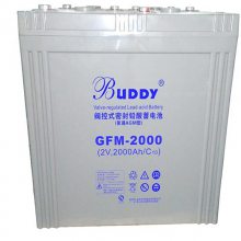 BUDDYGFM-1200ʽܷǦ2V1200AH