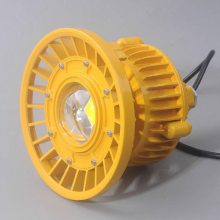 LED\BLED-20W\ʽ\ExdBT6\IP66