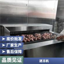定制高效板带速冻机 TYW-350/550 休闲食品厂设备 SUS304不锈钢