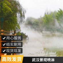 景观喷淋 园林水雾造景全套设备 汉口假山造雾高压微雾除尘系统定制